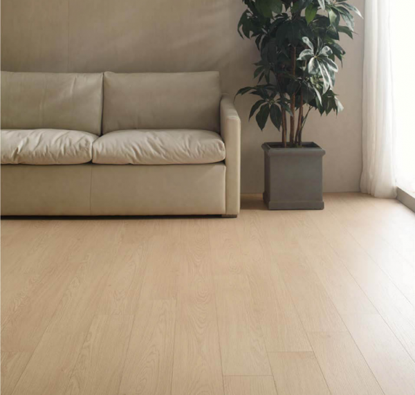 동화 나투스듀오 까사 크레마.png